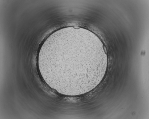 X0000096630297200803041110