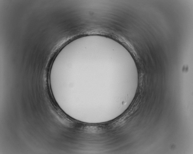 X0000096630298200803041110