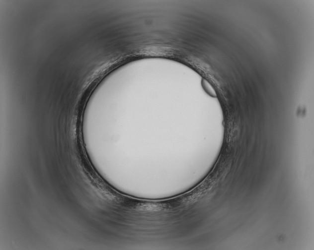 X0000096630299200803041110