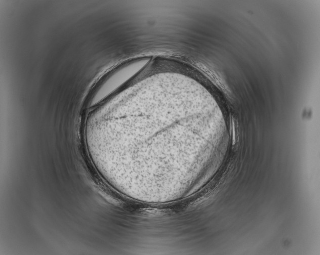 X0000096630300200803041110