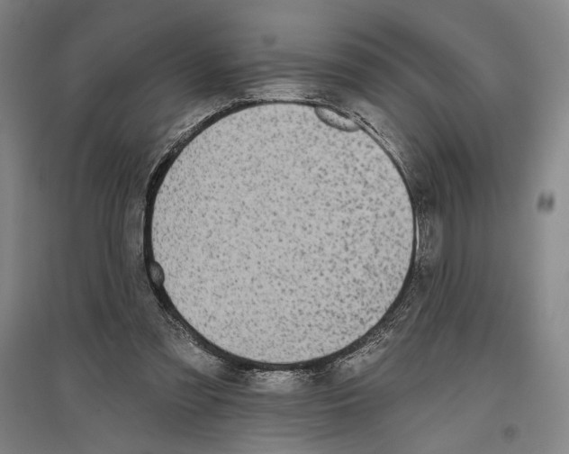 X0000096630301200803041110