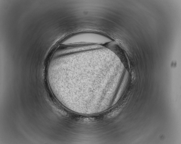 X0000096630304200803041110