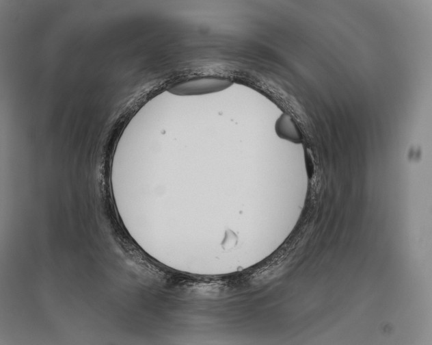 X0000096630306200803041110