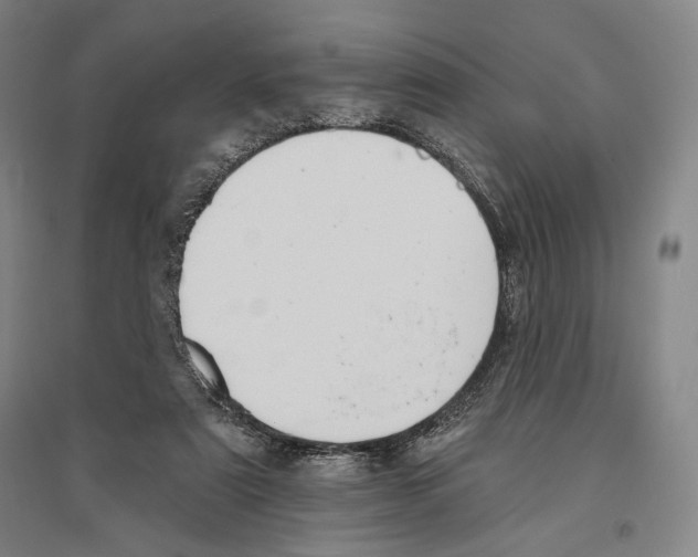 X0000096630307200803041110