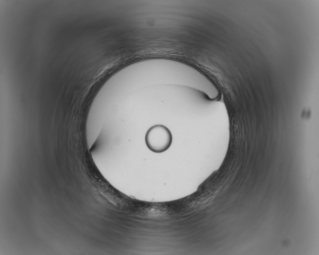 X0000096630308200803041110