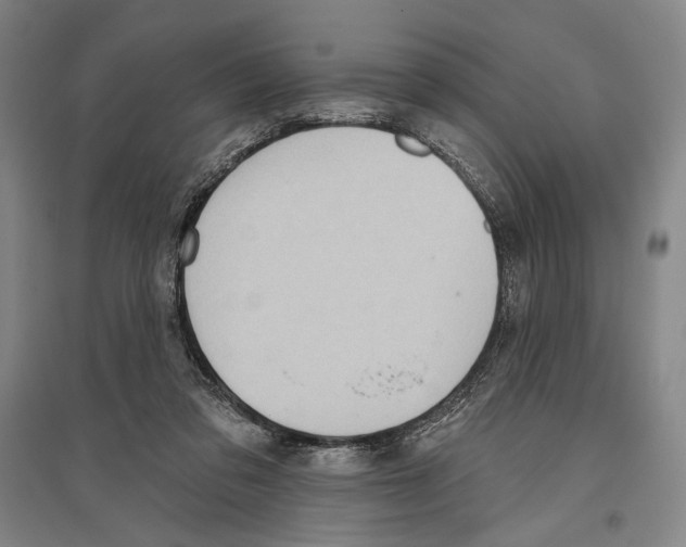 X0000096630309200803041110