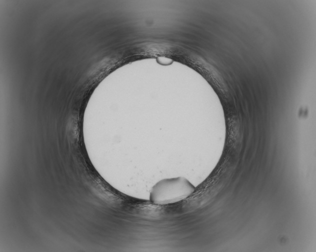X0000096630313200803041110