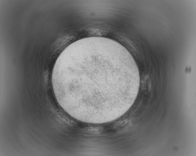 X0000096630314200803041110