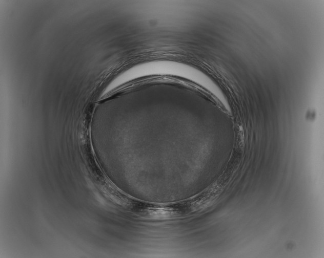 X0000096630316200803041110
