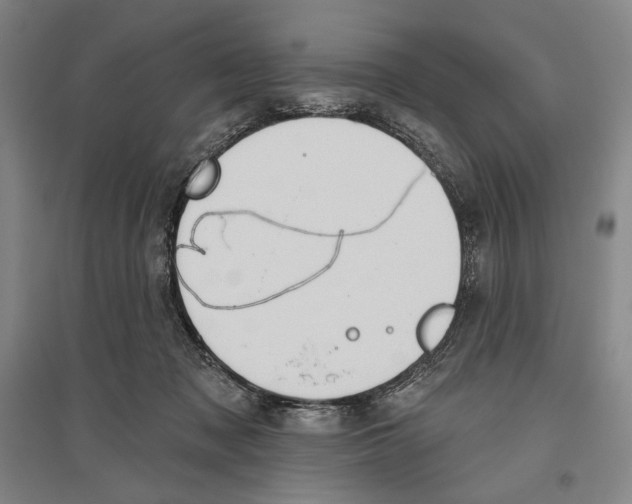 X0000096630317200803041110