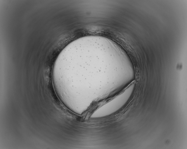X0000096630319200803041110