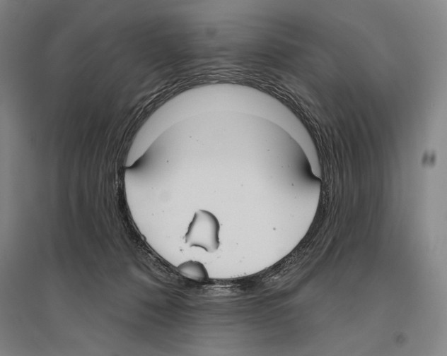 X0000096630320200803041110