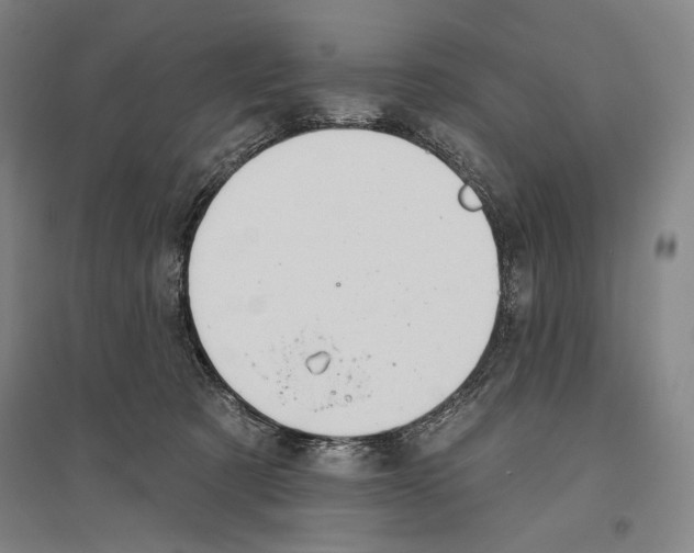 X0000096630321200803041110