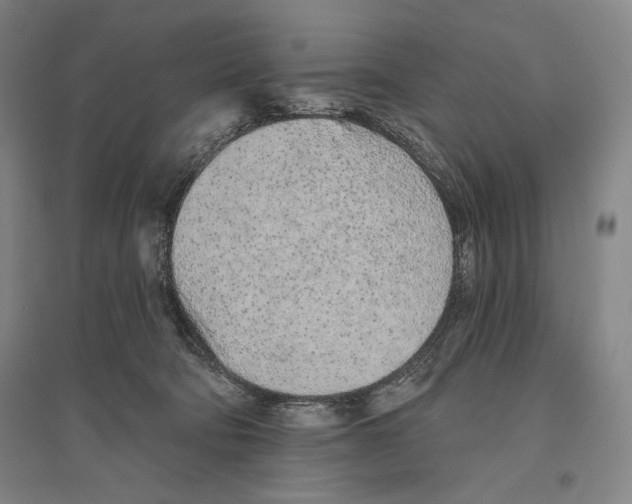 X0000096630322200803041110