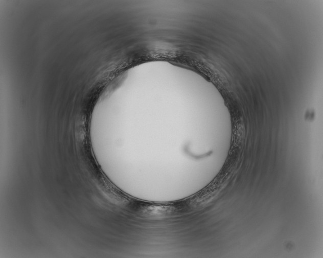 X0000096630323200803041110
