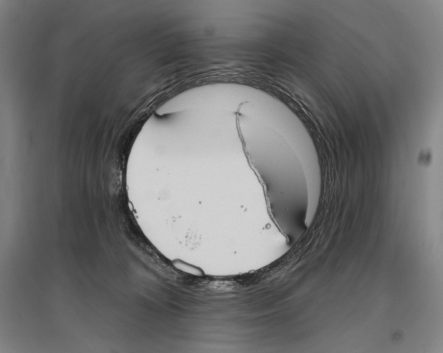 X0000096630324200803041109