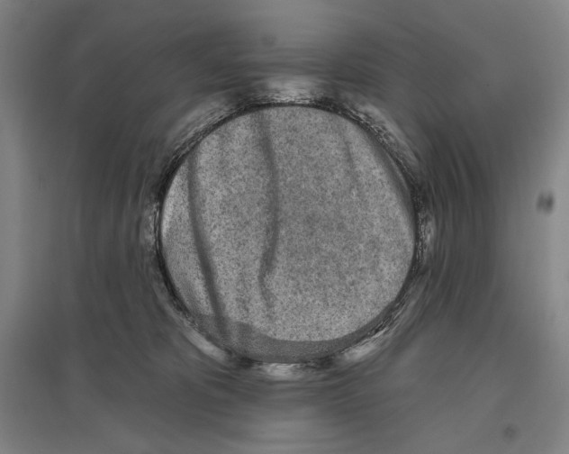 X0000096630325200803041109