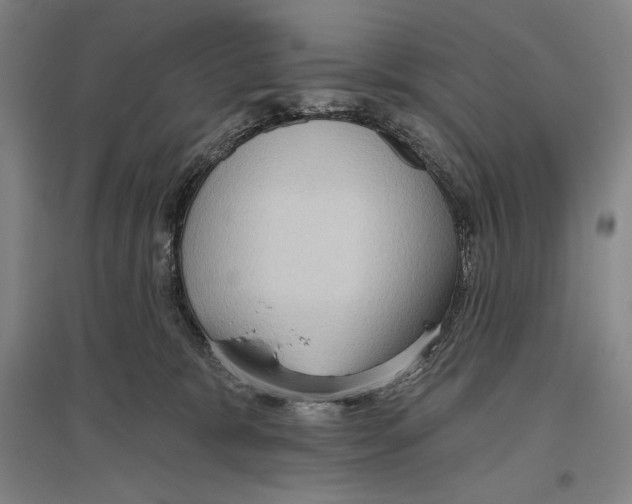 X0000096630327200803041109