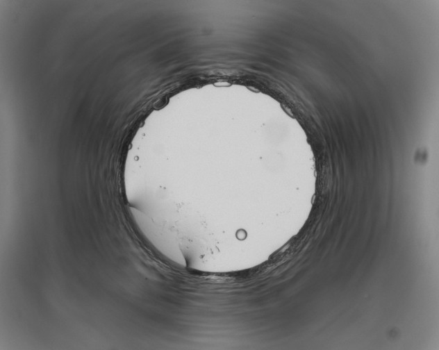 X0000096630328200803041109