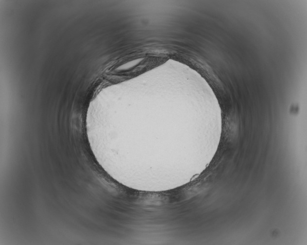 X0000096630330200803041109
