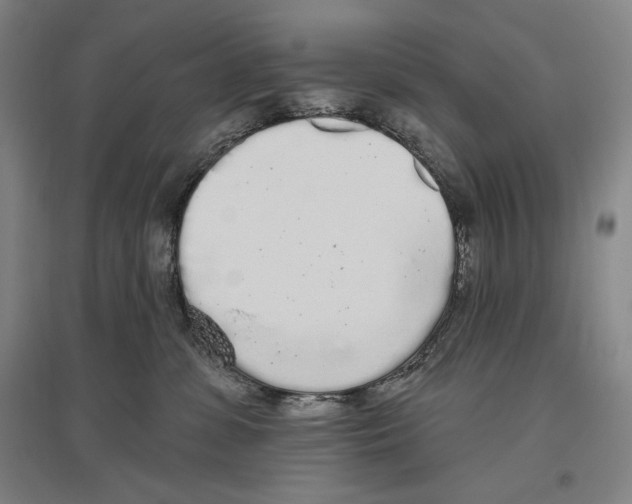 X0000096630331200803041109