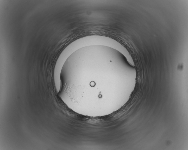 X0000096630332200803041109