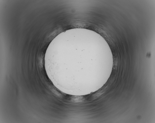 X0000096630334200803041109