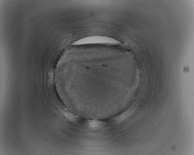 X0000096630336200803041109