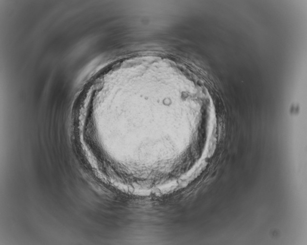 X0000096630339200803041109