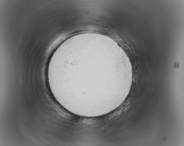 X0000096630341200803041109
