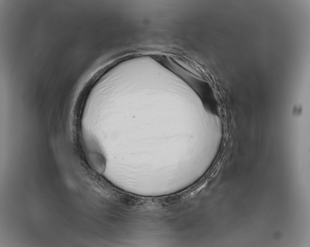 X0000096630343200803041109