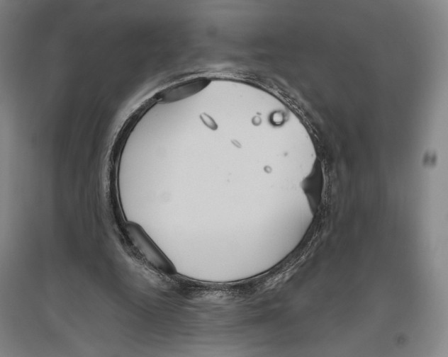 X0000096630344200803041109