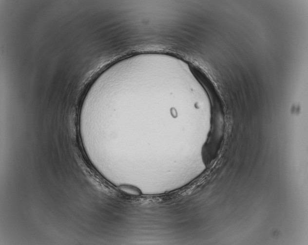 X0000096630345200803041109