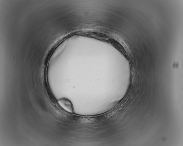 X0000096630346200803041109