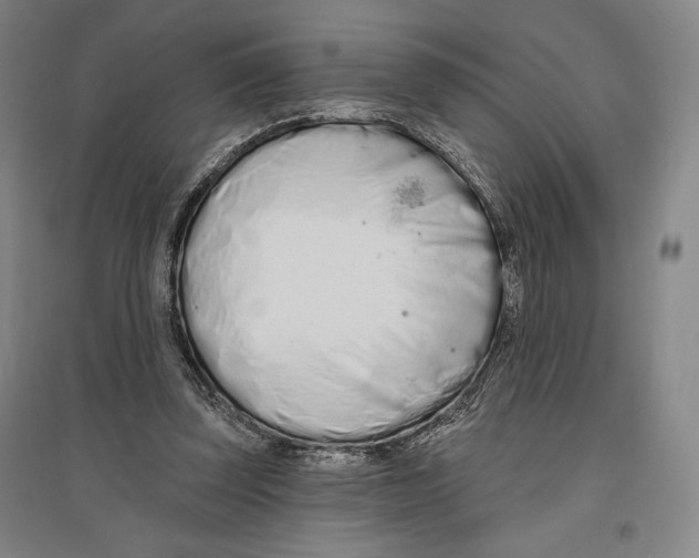 X0000096630347200803041109