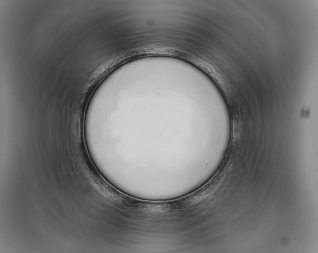 X0000096630349200803041109