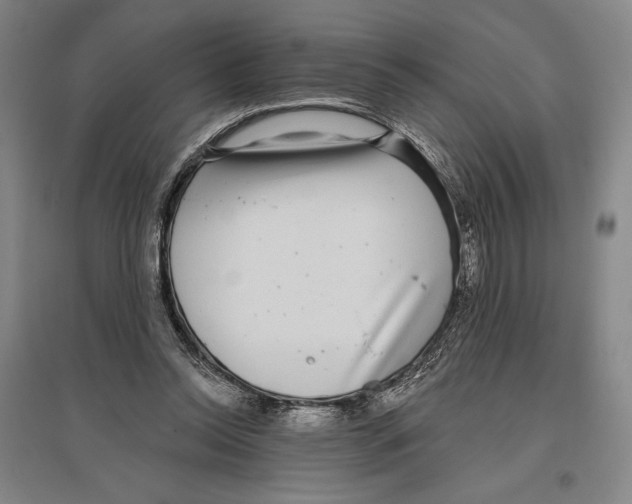 X0000096630350200803041109