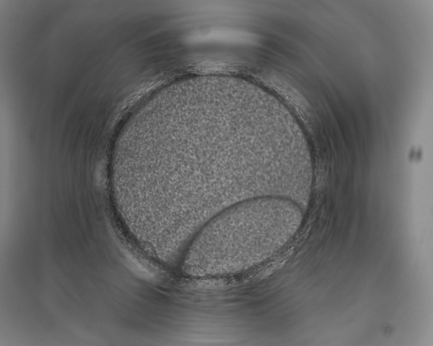 X0000096630353200803041109