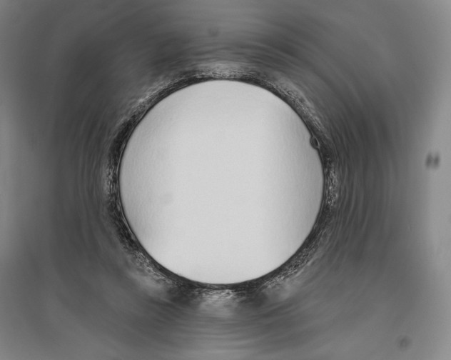 X0000096630355200803041109