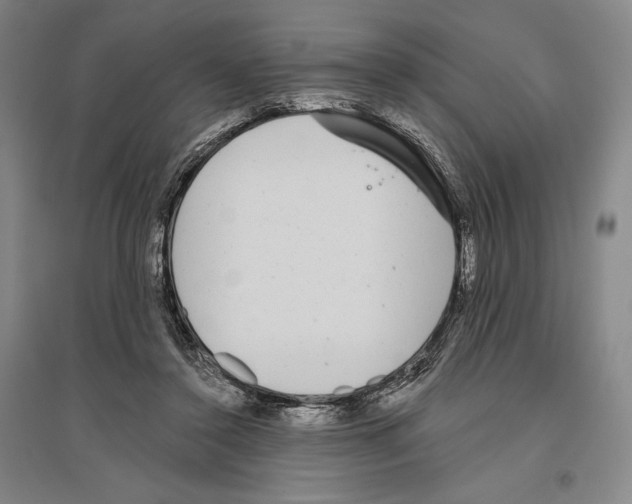 X0000096630356200803041109