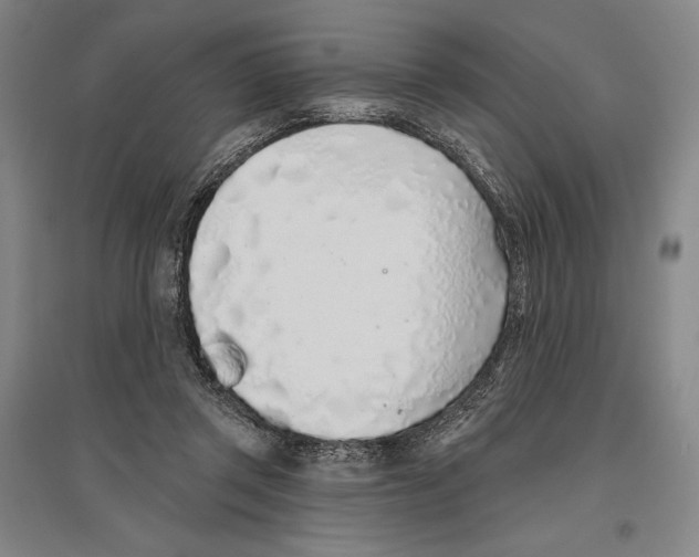 X0000096630357200803041109