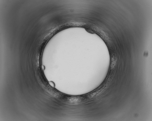 X0000096630358200803041109