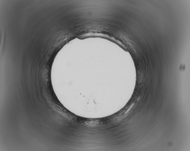X0000096630362200803041109