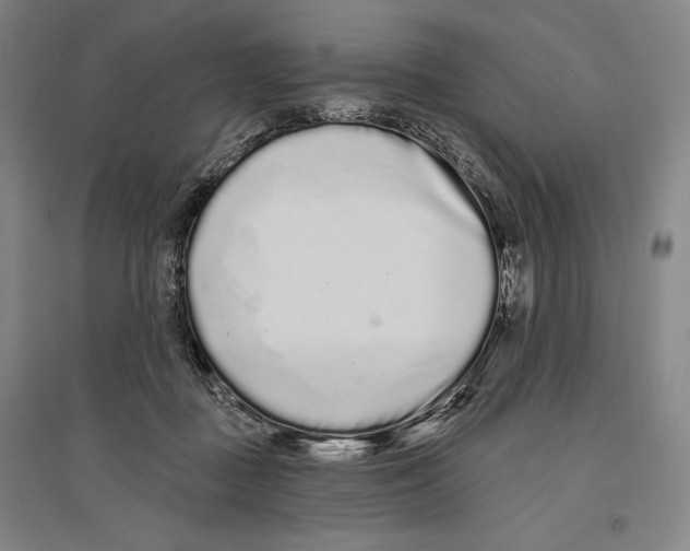 X0000096630363200803041109