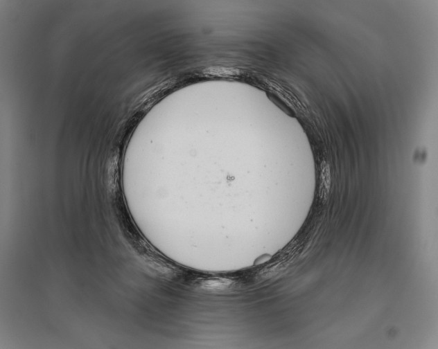 X0000096630364200803041109