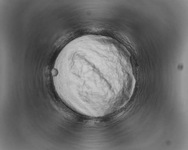 X0000096630366200803041109