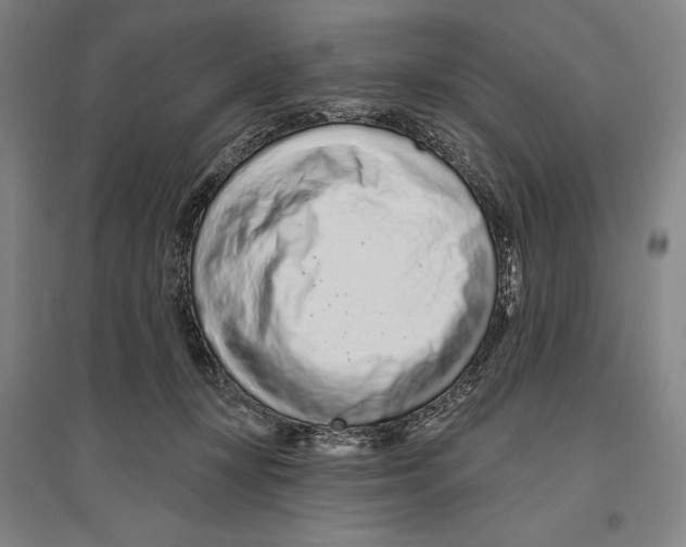 X0000096630367200803041109