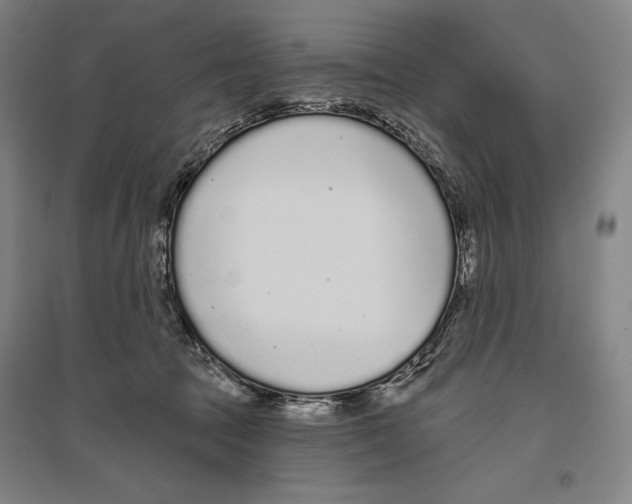 X0000096630369200803041109