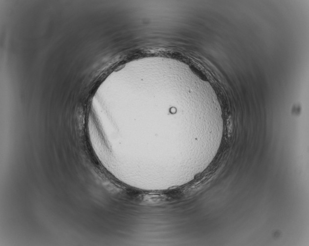 X0000096630372200803041109