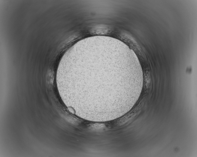 X0000096630374200803041109
